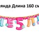 3371238 Набор для девочки"Мне 5 лет" для проведения детского праздника